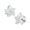 Ashes Infused JewelleryAura-Star Earrings Stars