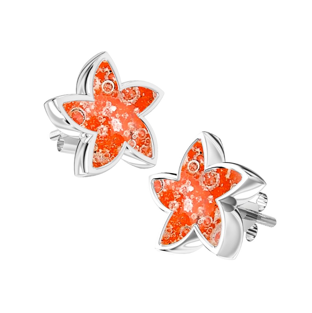 Ashes Infused JewelleryAura-Star Earrings Stars